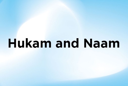 Hukam and Naam - Sikh Wisdom - Prespectives