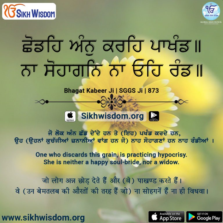 chhoddeh a(n)n kareh paakha(n)dd - Sikh Wisdom