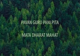 What is the meaning of Pavan Guru Pani Pita Mata Dharat Mahat?