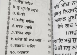 Can someone tell me what you do with respect to NITNEM, when you do night shits? When do you read Japji Sahib, Rehras sahib and Kirtan Sohila?