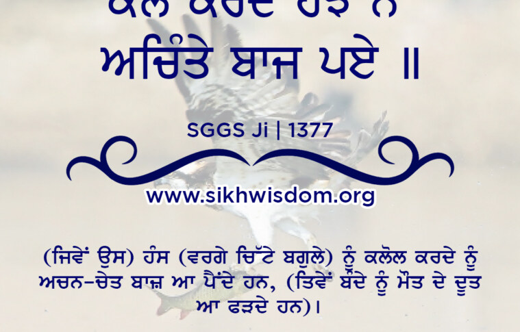 ਕੇਲ ਕਰੇਦੇ ਹੰਝ ਨੋ ਅਚਿੰਤੇ ਬਾਜ ਪਏ ॥