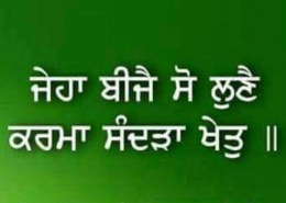 can someone tell the meaning of this shabad?