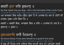 My mother is Hindu and father is Sikh. I do not understand what I must follow.