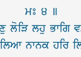 i was checking and saw this shabad has only 2 lines please explain and describe it as we’ll