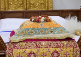 What are the scientific things in Guru Granth Sahib?