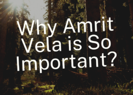 Why Amrit Vela is so important?