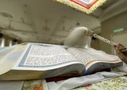 In the Guru Granth Sahib, the concept of 84 lakh joon is mentioned multiple times. What is the exact meaning of this? Do we all go through 84 lakh joon, or is Guru Sahib trying to convey a different message?