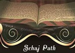 Three months ago, I started a Sehaj Path, but then I got busy with work and lost track of which Ang I was on. Would it be okay to start over from the beginning?