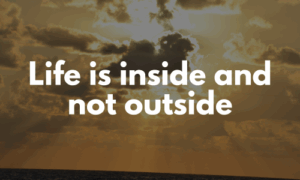 Life is inside and not outside
